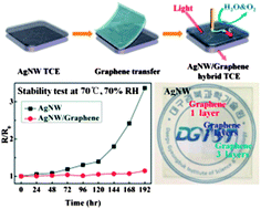 Graphical abstract: Highly stable and flexible silver nanowire–graphene hybrid transparent conducting electrodes for emerging optoelectronic devices
