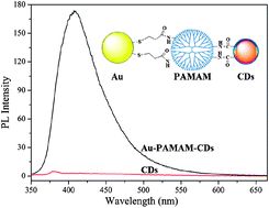 Graphical abstract: Photoluminescence enhancement of carbon dots by gold nanoparticles conjugated via PAMAM dendrimers