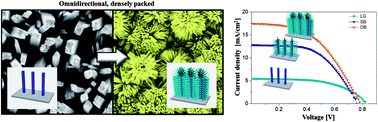 Graphical abstract: Synthesis of hierarchical TiO2 nanowires with densely-packed and omnidirectional branches