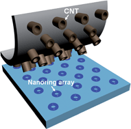 Graphical abstract: Printable nanoscale metal ring arrays via vertically aligned carbon nanotube platforms