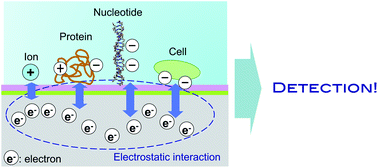 Graphical abstract: Current and emerging challenges of field effect transistor based bio-sensing