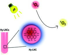 Graphical abstract: Hypericin-loaded lipid nanocapsules for photodynamic cancer therapy in vitro