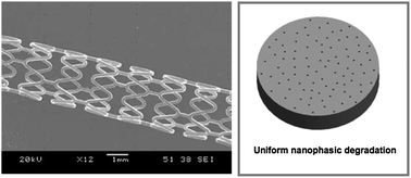 Graphical abstract: Nanophasic biodegradation enhances the durability and biocompatibility of magnesium alloys for the next-generation vascular stents