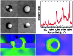 Graphical abstract: Hot spots in different metal nanostructures for plasmon-enhanced Raman spectroscopy