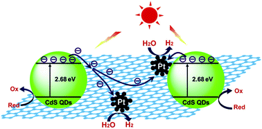 Graphical abstract: Immobilizing CdS quantum dots and dendritic Pt nanocrystals on thiolated graphene nanosheets toward highly efficient photocatalytic H2 evolution
