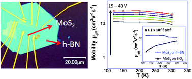 Graphical abstract: Suppression of thermally activated carrier transport in atomically thin MoS2 on crystalline hexagonal boron nitride substrates