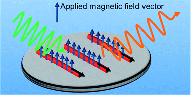 Graphical abstract: The influence of applied magnetic fields on the optical properties of zero- and one-dimensional CdSe nanocrystals