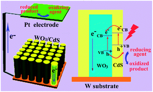 Graphical abstract: Rational and scalable fabrication of high-quality WO3/CdS core/shell nanowire arrays for photoanodes toward enhanced charge separation and transport under visible light