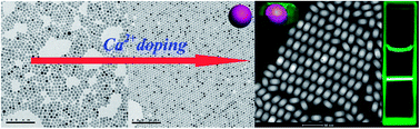 Graphical abstract: Modifying the size and uniformity of upconversion Yb/Er:NaGdF4 nanocrystals through alkaline-earth doping