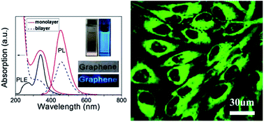 Graphical abstract: Nearly monodisperse graphene quantum dots fabricated by amine-assisted cutting and ultrafiltration