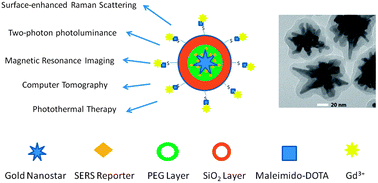 Graphical abstract: Quintuple-modality (SERS-MRI-CT-TPL-PTT) plasmonic nanoprobe for theranostics