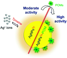 Graphical abstract: Synergistic influence of polyoxometalate surface corona towards enhancing the antibacterial performance of tyrosine-capped Ag nanoparticles