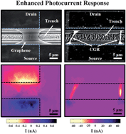 Graphical abstract: Enhanced photoresponse in curled graphene ribbons
