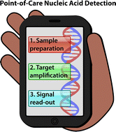 Graphical abstract: Point-of-care nucleic acid detection using nanotechnology