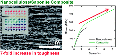 Graphical abstract: Highly tough and transparent layered composites of nanocellulose and synthetic silicate