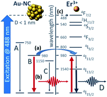 Graphical abstract: Near-infrared room temperature luminescence of few-atom Au aggregates in silica: a path for the energy-transfer to Er3+ ions