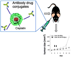 Graphical abstract: Antibody–drug conjugates: targeting melanoma with cisplatin encapsulated in protein-cage nanoparticles based on human ferritin
