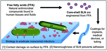 Graphical abstract: Multi-scale strategy to eradicate Pseudomonas aeruginosa on surfaces using solid lipid nanoparticles loaded with free fatty acids