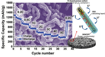 Graphical abstract: A dual coaxial nanocable sulfur composite for high-rate lithium–sulfur batteries