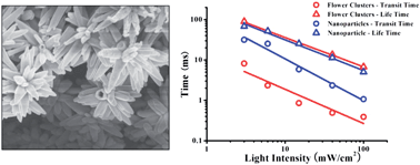 Graphical abstract: Semiconductor hierarchically structured flower-like clusters for dye-sensitized solar cells with nearly 100% charge collection efficiency