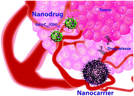 Graphical abstract: Nanomedicine: de novo design of nanodrugs