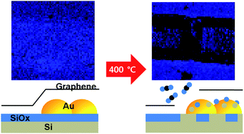 Graphical abstract: Selective catalytic burning of graphene by SiOx layer depletion