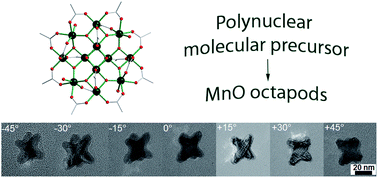 Graphical abstract: Formation of octapod MnO nanoparticles with enhanced magnetic properties through kinetically-controlled thermal decomposition of polynuclear manganese complexes