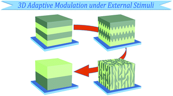 Graphical abstract: Self-organization and nanostructural control in thin film heterojunctions