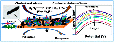 Graphical abstract: A dual enzyme functionalized nanostructured thulium oxide based interface for biomedical application