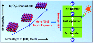 Graphical abstract: Synthesis and internal electric field dependent photoreactivity of Bi3O4Cl single-crystalline nanosheets with high {001} facet exposure percentages