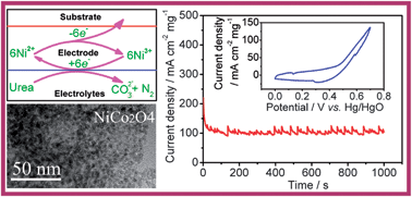 Graphical abstract: Facile synthesis of mesoporous spinel NiCo2O4 nanostructures as highly efficient electrocatalysts for urea electro-oxidation