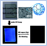 Graphical abstract: Thin film fabricated from solution-dispersible porous hyperbranched conjugated polymer nanoparticles without surfactants