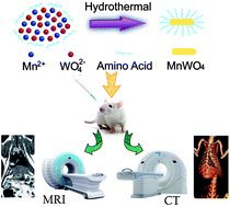 Graphical abstract: Biocompatible and high-performance amino acids-capped MnWO4 nanocasting as a novel non-lanthanide contrast agent for X-ray computed tomography and T1-weighted magnetic resonance imaging
