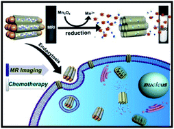Graphical abstract: Redox-mediated dissolution of paramagnetic nanolids to achieve a smart theranostic system