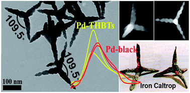Graphical abstract: Multi-generation overgrowth induced synthesis of three-dimensional highly branched palladium tetrapods and their electrocatalytic activity for formic acid oxidation