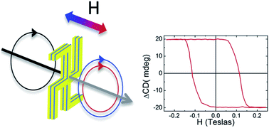 Graphical abstract: Magnetic field modulation of chirooptical effects in magnetoplasmonic structures