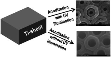 Graphical abstract: Controlled fabrication of porous double-walled TiO2 nanotubes via ultraviolet-assisted anodization