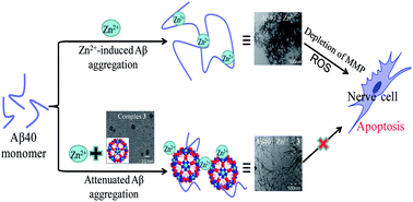 Graphical abstract: Mo polyoxometalate nanoclusters capable of inhibiting the aggregation of Aβ-peptide associated with Alzheimer's disease