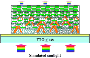 Graphical abstract: Design of a TiO2 nanosheet/nanoparticle gradient film photoanode and its improved performance for dye-sensitized solar cells