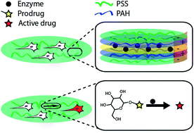 Graphical abstract: Biocatalytic polymer thin films: optimization of the multilayered architecture towards in situ synthesis of anti-proliferative drugs