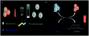 Graphical abstract: Photoluminescent AuCu bimetallic nanoclusters as pH sensors and catalysts