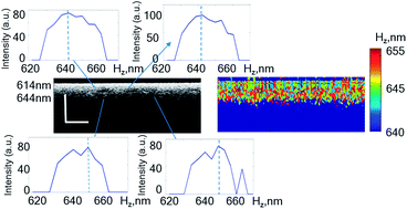 Graphical abstract: Nano-sensitive optical coherence tomography