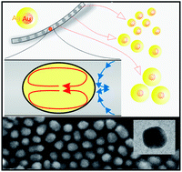 Graphical abstract: Nanometer precise adjustment of the silver shell thickness during automated Au–Ag core–shell nanoparticle synthesis in micro fluid segment sequences