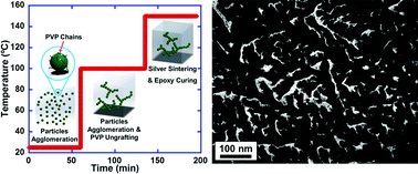 Graphical abstract: Self-constructed tree-shape high thermal conductivity nanosilver networks in epoxy