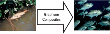 Graphical abstract: Environmental applications using graphene composites: water remediation and gas adsorption