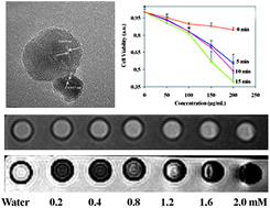 Graphical abstract: Multifunctional Fe3O4–TiO2 nanocomposites for magnetic resonance imaging and potential photodynamic therapy