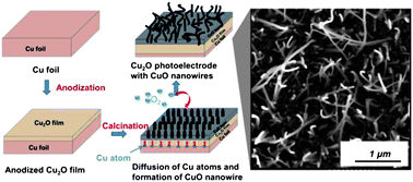 Graphical abstract: Embedment of anodized p-type Cu2O thin films with CuO nanowires for improvement in photoelectrochemical stability