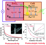 Graphical abstract: SnO2@CdS nanowire-quantum dots heterostructures: tailoring optical properties of SnO2 for enhanced photodetection and photocatalysis