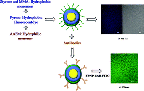 Graphical abstract: Novel functionalized fluorescent polymeric nanoparticles for immobilization of biomolecules