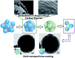 Graphical abstract: A novel method of preparing metallic Janus silica particles using supercritical carbon dioxide